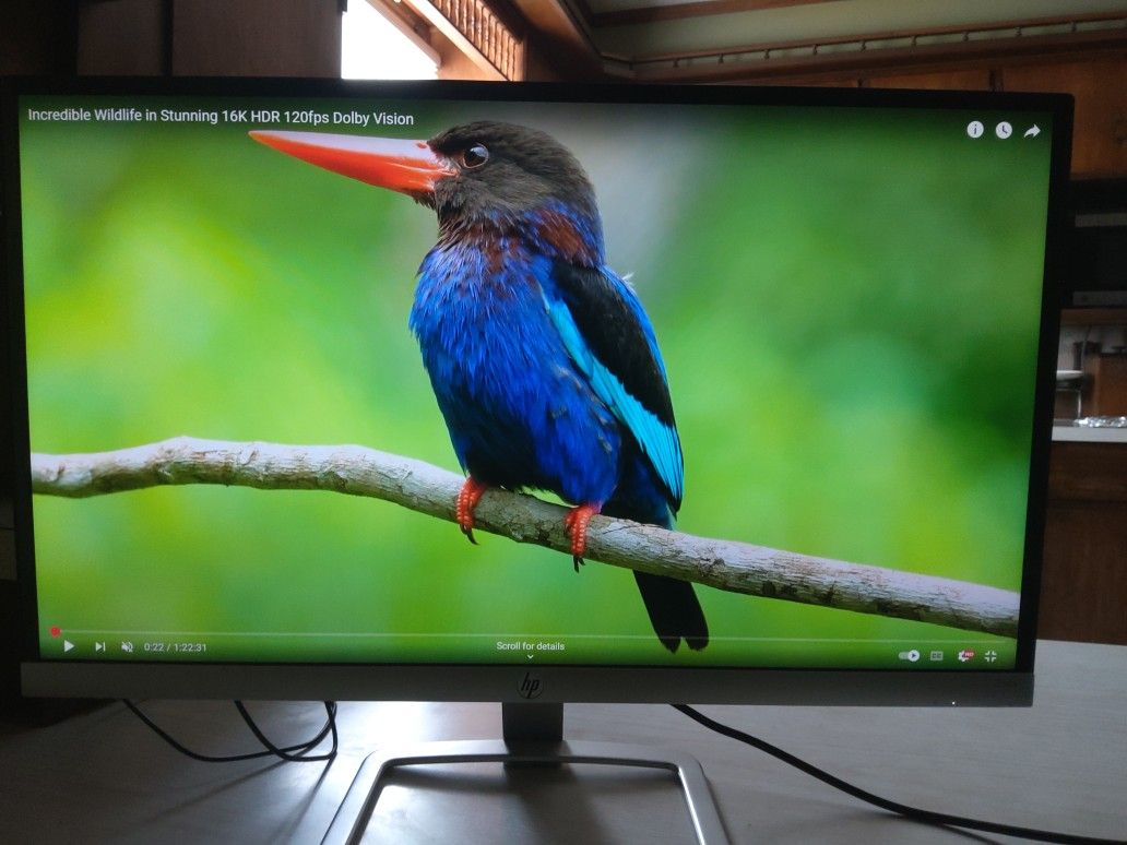 HP 25es Monitor