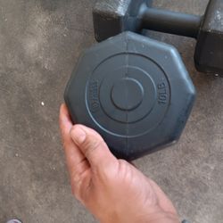 Two 10 Pound Dumbells