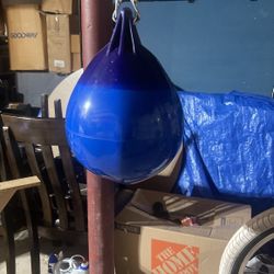 Water Punching Bag