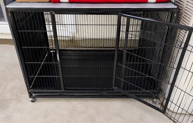 Kennel