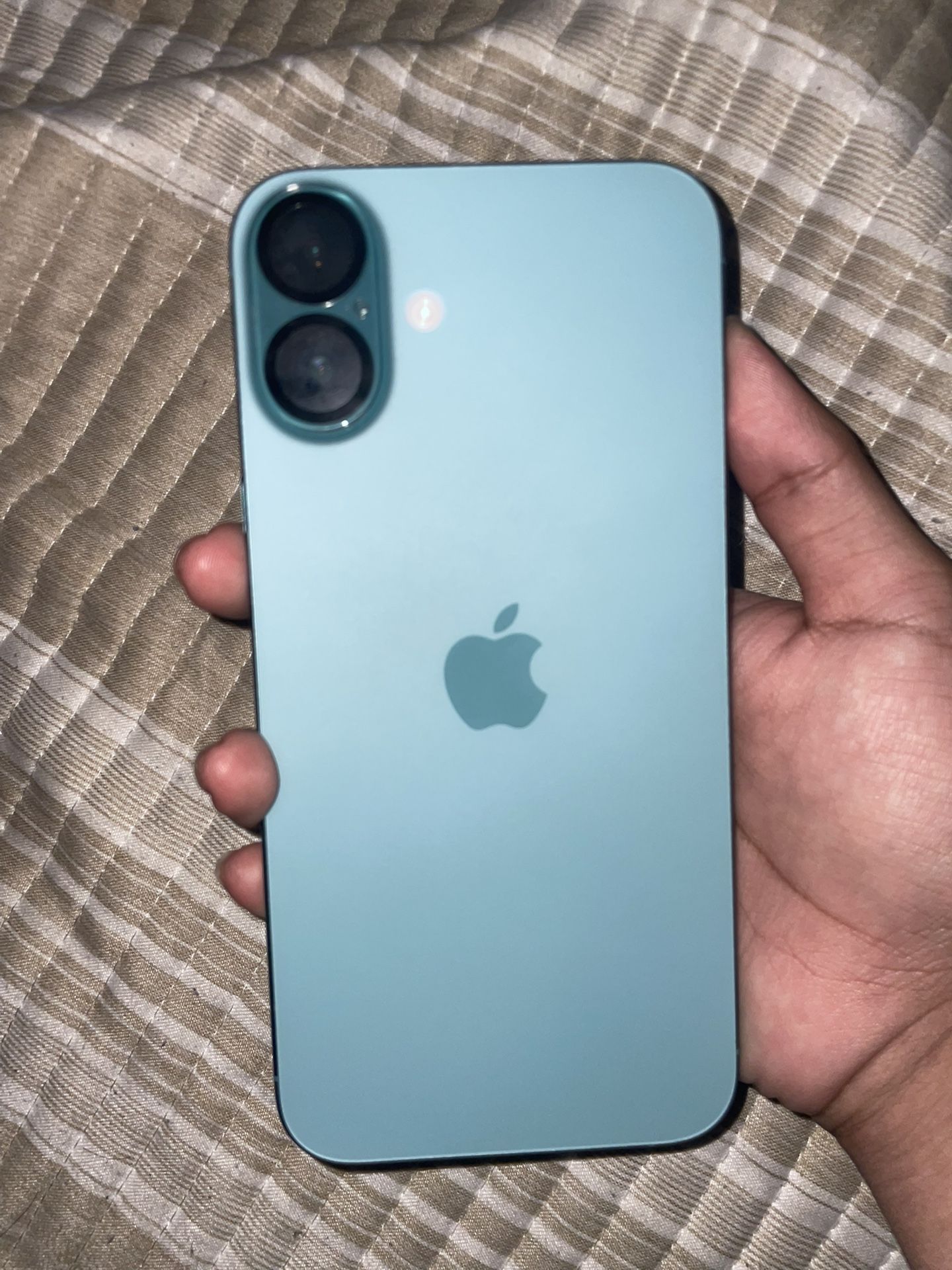 iPhone 16 Plus 256 GB