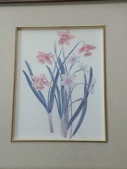 Daffodils and Narcissus blossoms