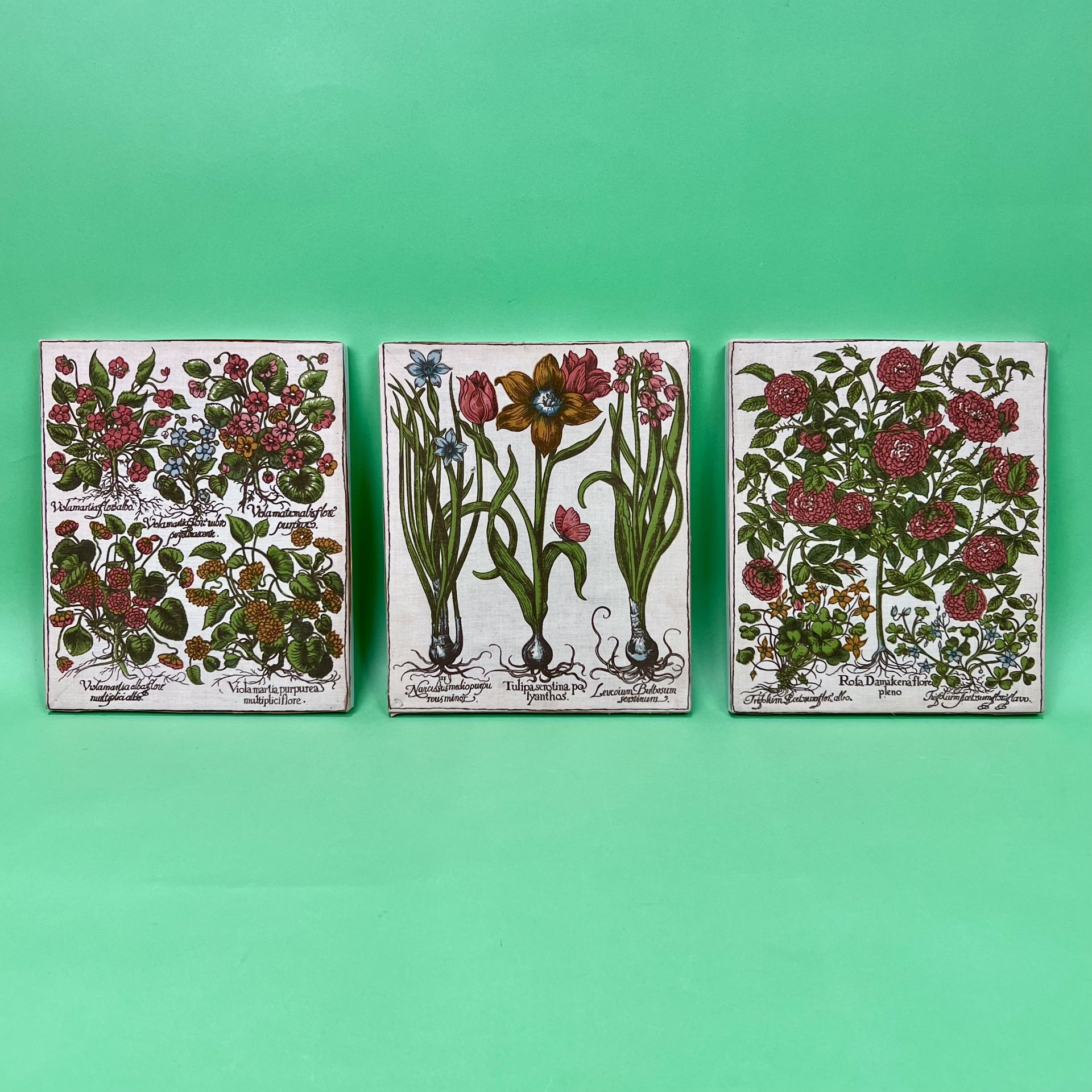 Vintage Botanical Prints