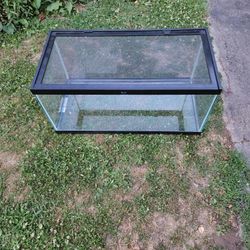 Terrarium, 36" L X 18" W X 17" H
