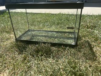 10 Gallon terrarium 
