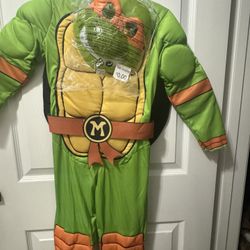michelangelo costumeĀ