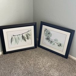 2 Coordinating Framed Nature Prints