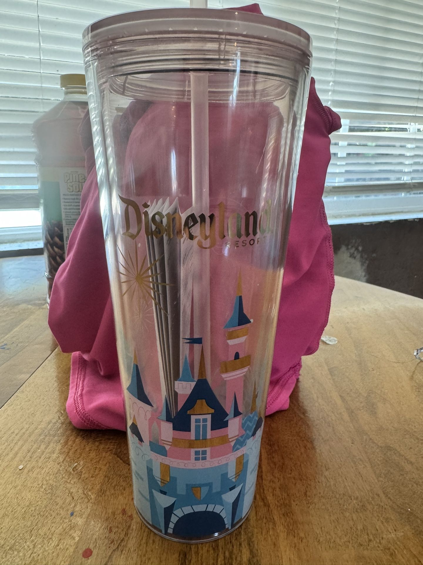 Disneyland Cup Cinderella
