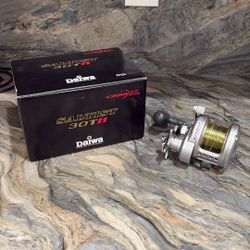 DAIWA saltist 30th Fishing Reel 