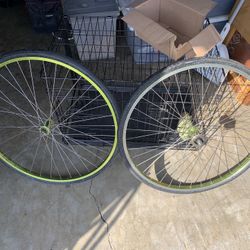 Bicycle Rims