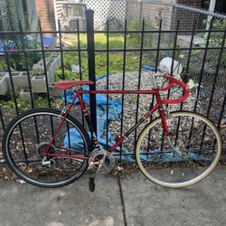 Fixie Bike 
