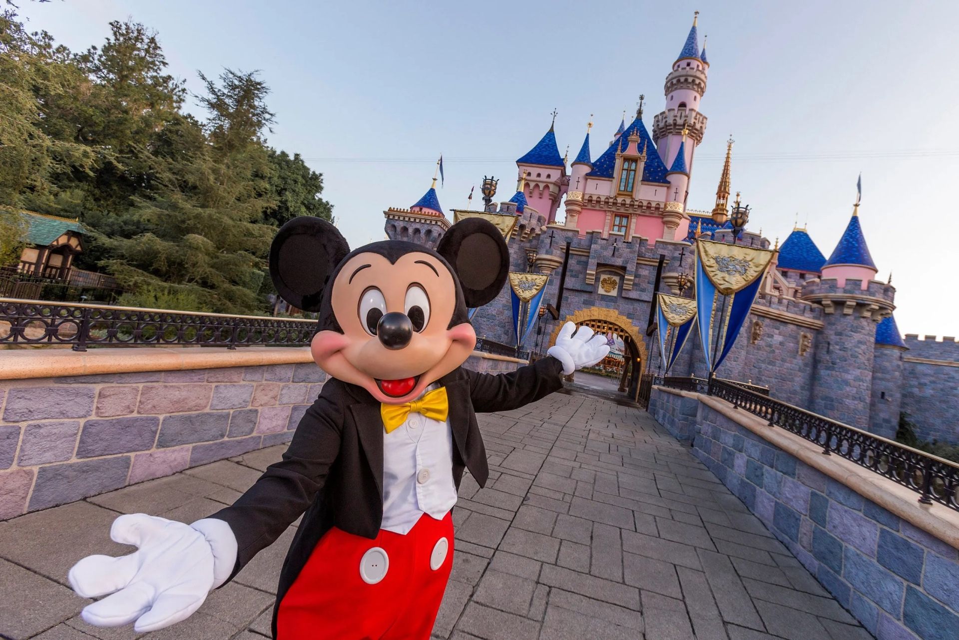 Disneyland Park Hopper Tickets
