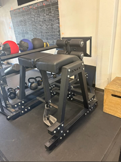 Rogue Donkey – Reverse Hyper / GHD Combo