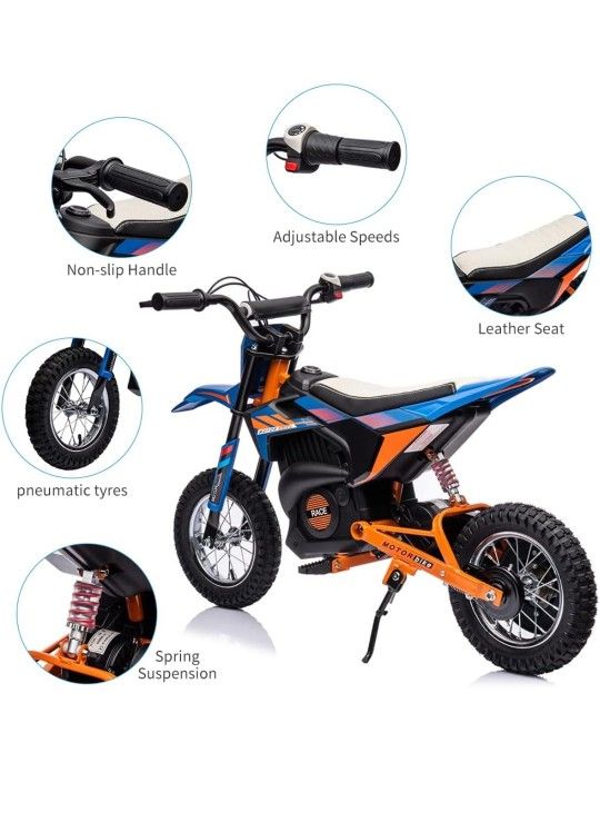 Electric Dirt Bike Palby's BDM 0952