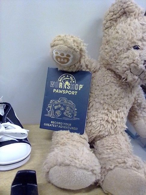 Timeless Teddy Bear