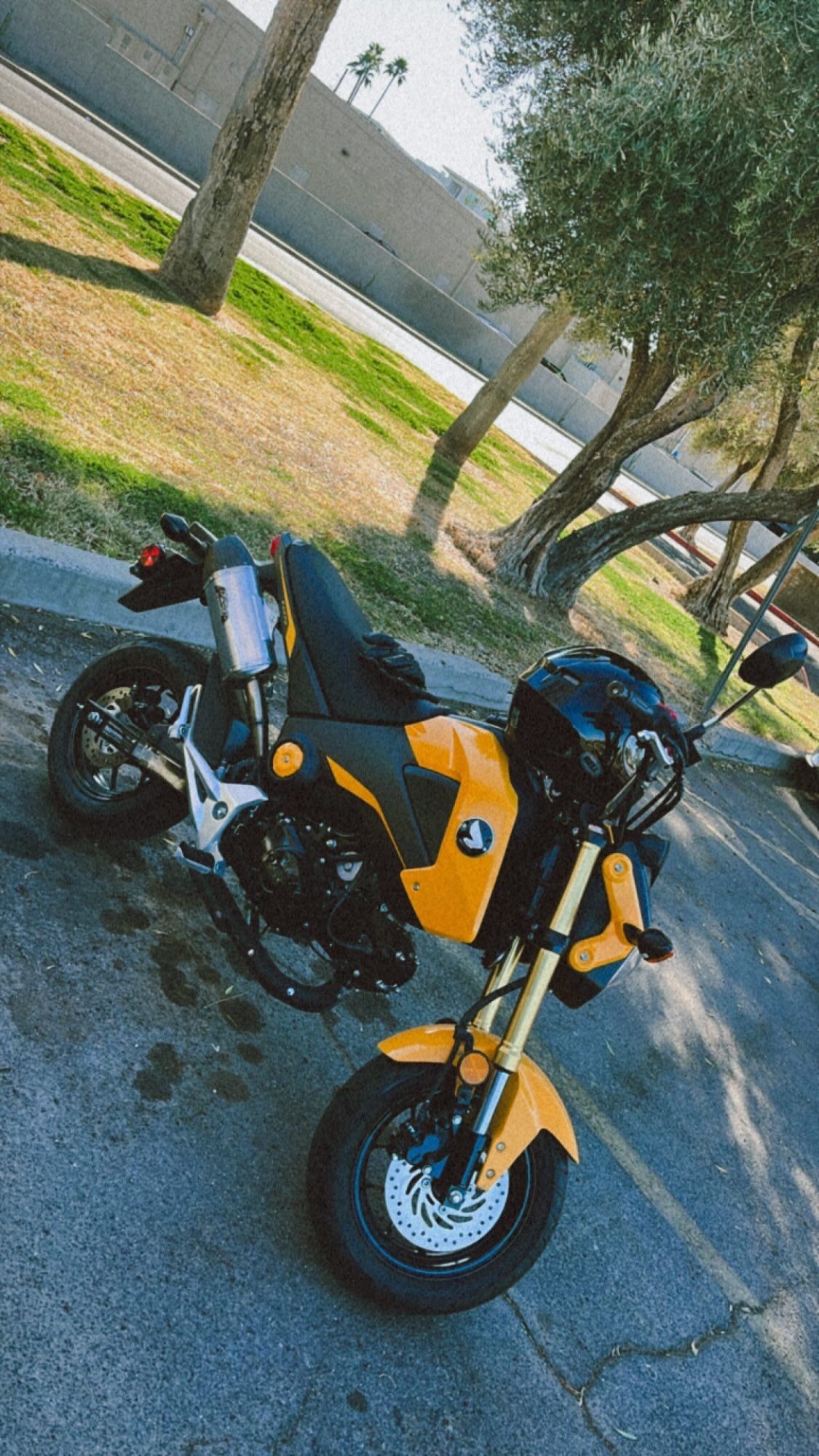 2015 Honda Grom