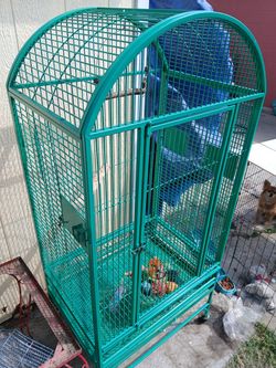 Bird cage