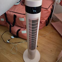 Pink fan