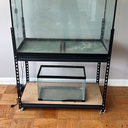 65 Gallon Fish Tank 