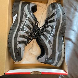 Nike p6000 shoes