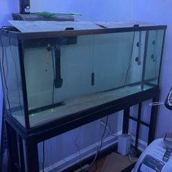 55 Gallon Tank With Stand And Light