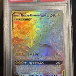 Pikachu & Zekrom 184