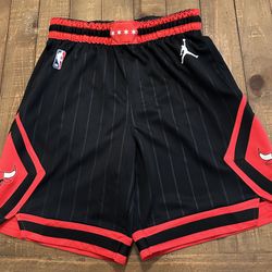 Nike Chicago Bulls Jordan Brand Statement Edition Mens Size M Swingman Shorts  