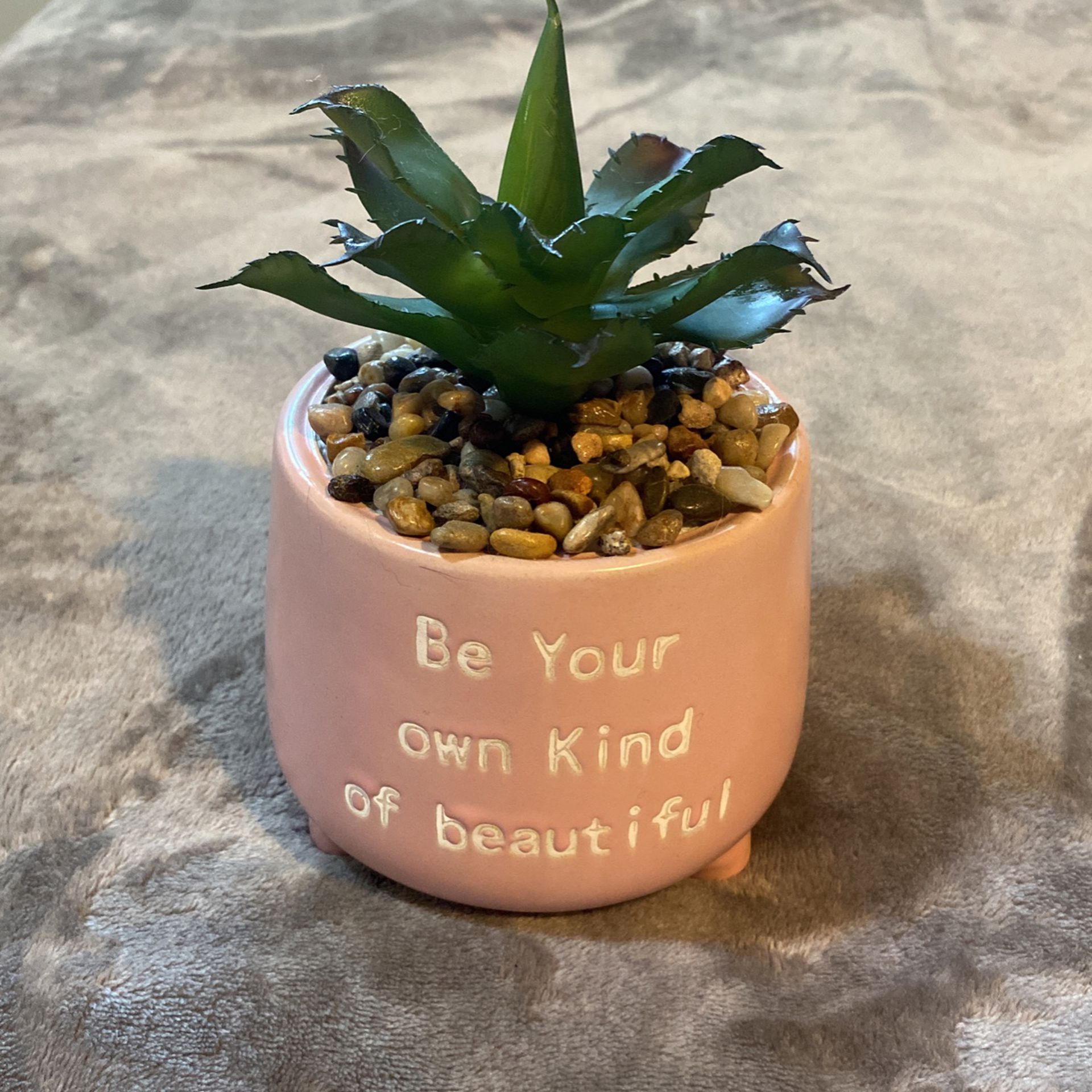 Fake Plant Succulent/Pink Pot