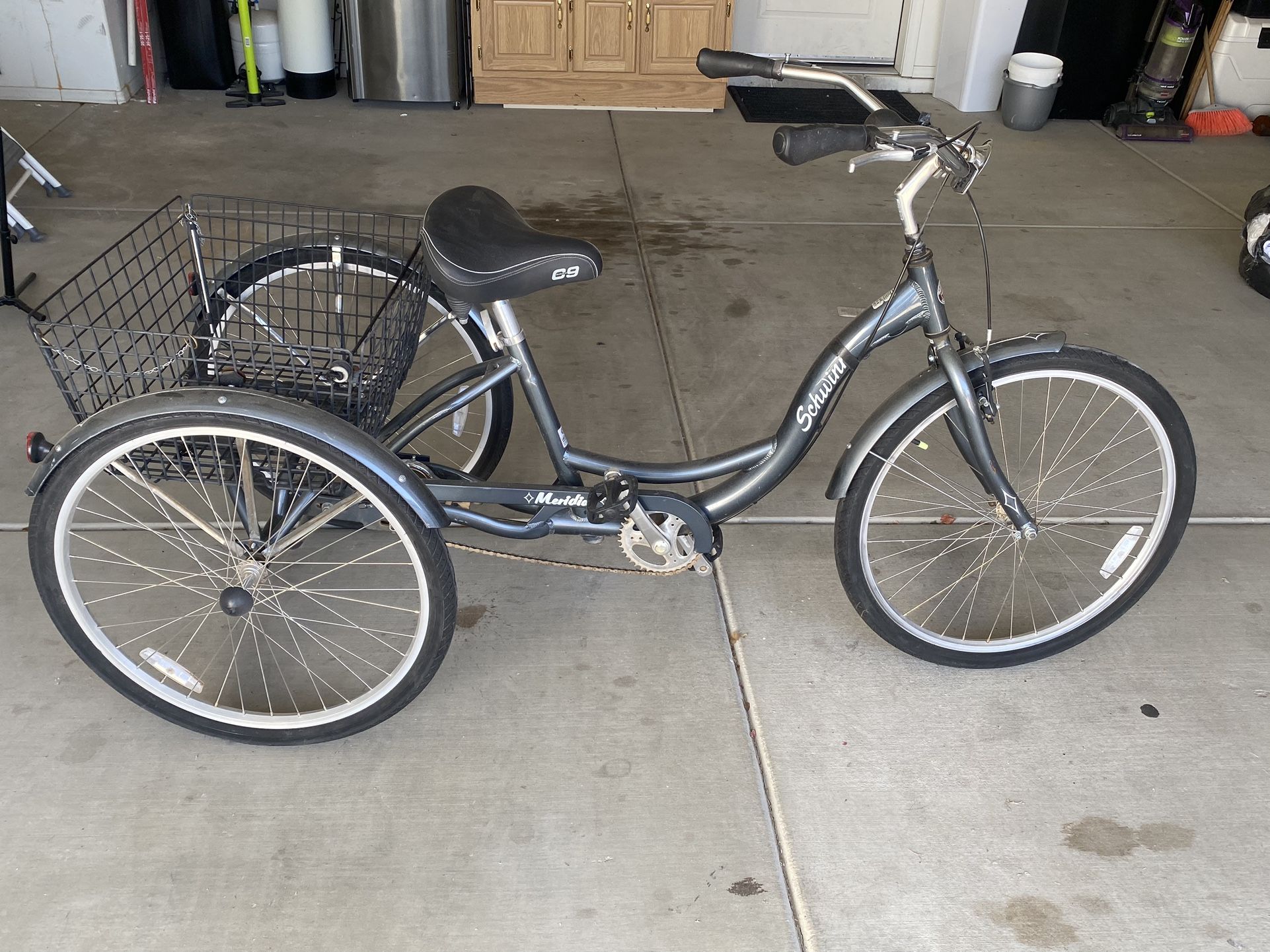 Schwinn Trike Bike