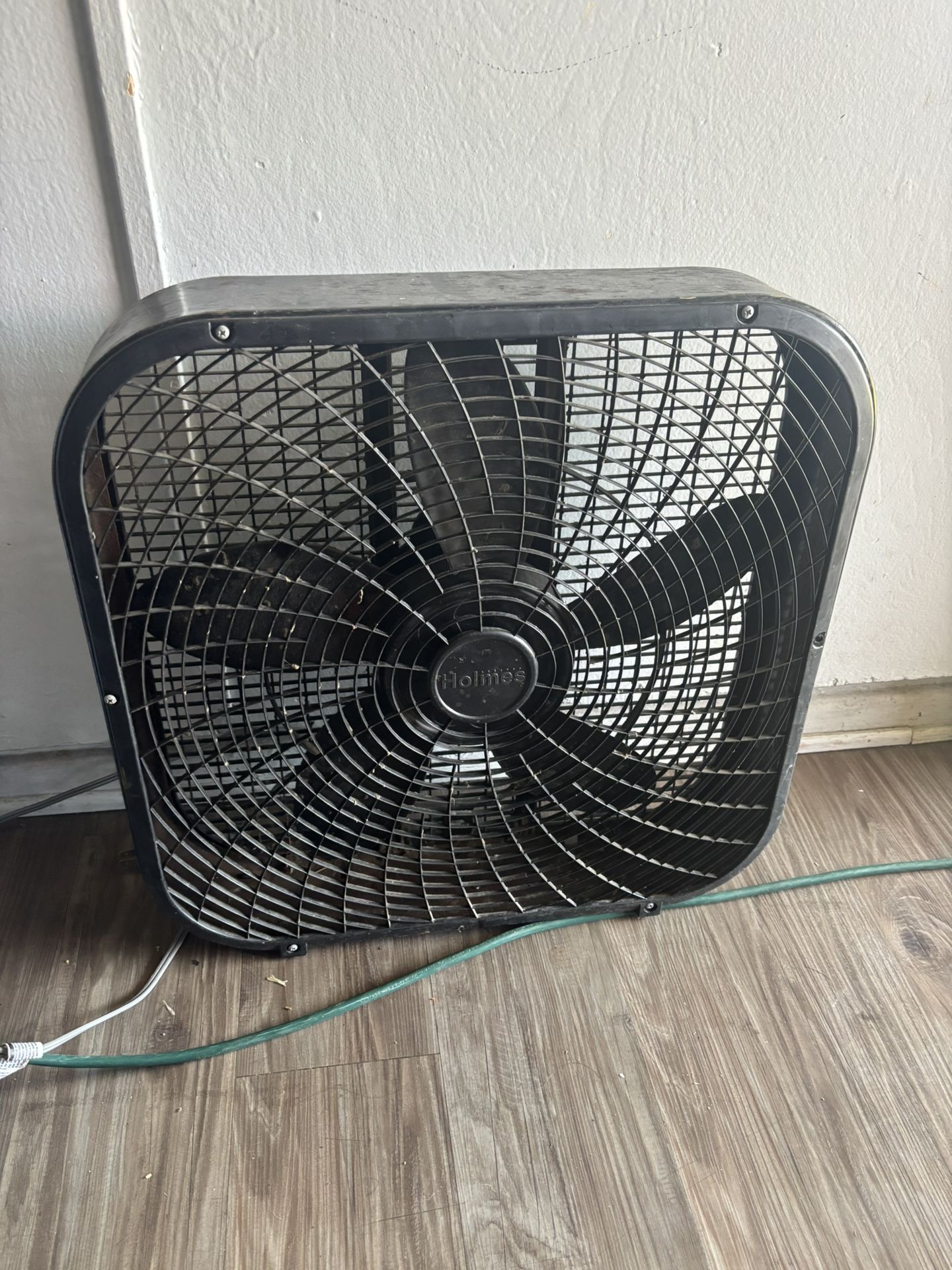 Fan