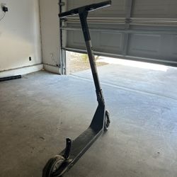 Electric Bird Scooter 