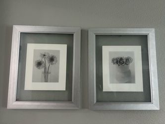 Set of 2 Floral Wall Art