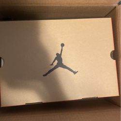 Air Jordan 12