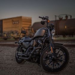2017 Harley Davidson Iron 883