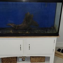 55 Gallon Aquarium Fish Tank With Stand