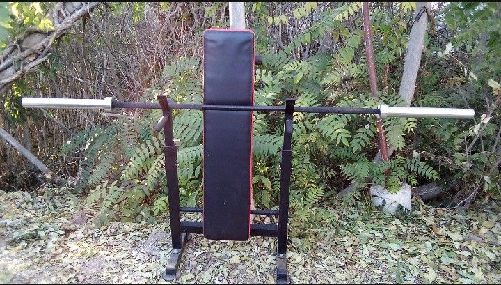 Bench Press 