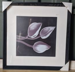 Picture frames