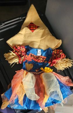 Scar crow Costume