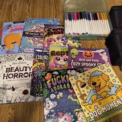 Large Bundle Of Coloring Books & Markers 
