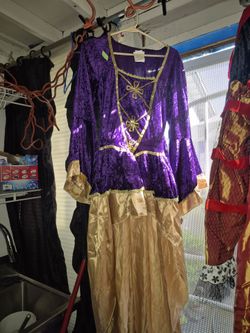 Womans dress costume