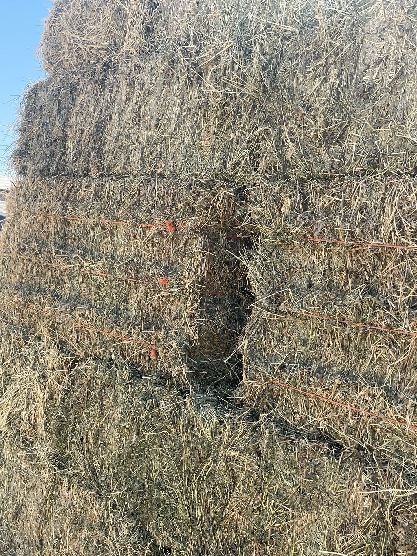 Alfalfa Hay