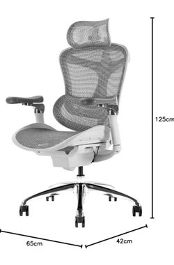 Sihoo C300 Ergonomic Chair