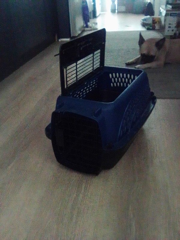 Pet Carrier