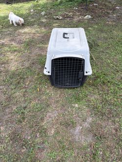 Animal Carrier