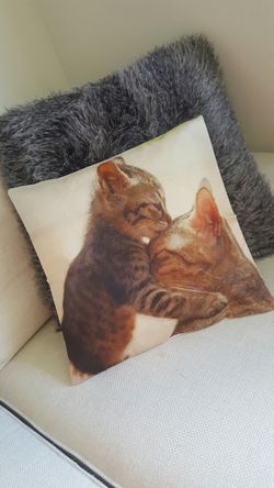 Kittens Cat Cats Decorative Pillow Perfect Gift Couch Bed Chair