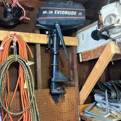 2.3 Evinrude