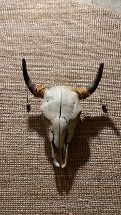 Bison Skull