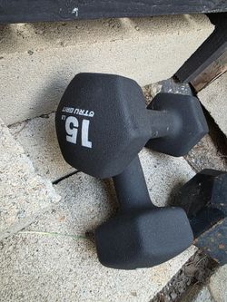 15 lb Dumbbells (Pair)