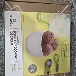 Brand New Do It Yourself Ice-cream Kit