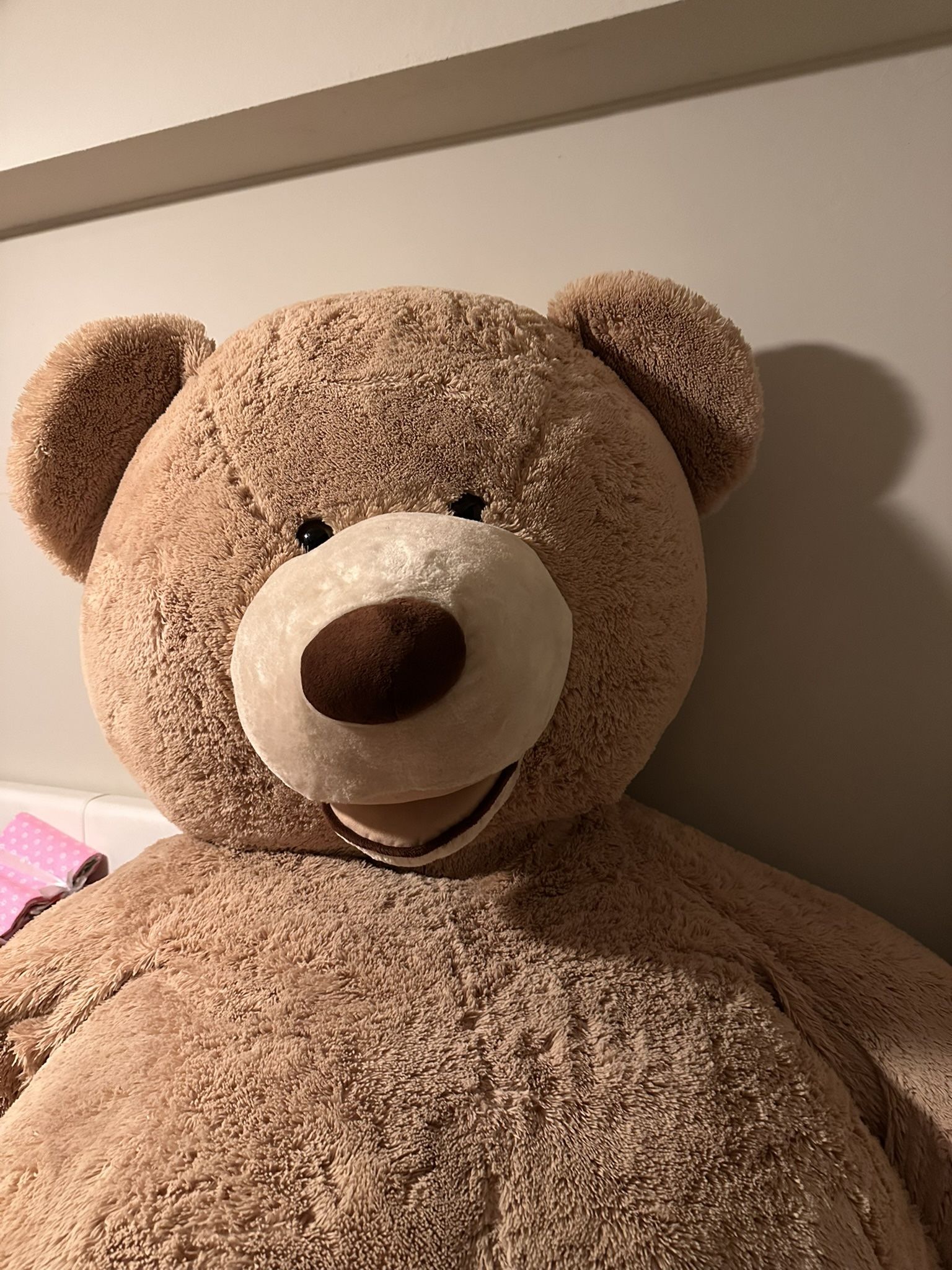 Giant Teddy Bear